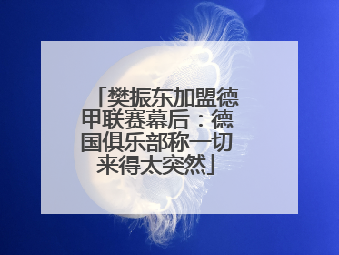 樊振东加盟德甲联赛幕后：德国俱乐部称一切来得太突然