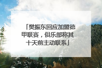 樊振东回应加盟德甲联赛，俱乐部称其十天前主动联系