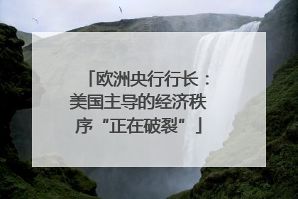 欧洲央行行长：美国主导的经济秩序“正在破裂”