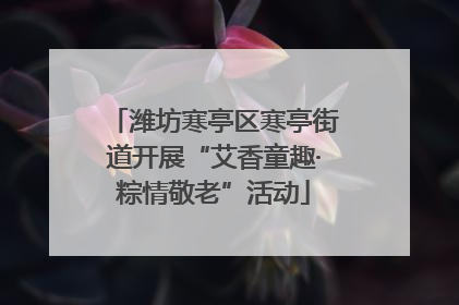 潍坊寒亭区寒亭街道开展“艾香童趣·粽情敬老”活动