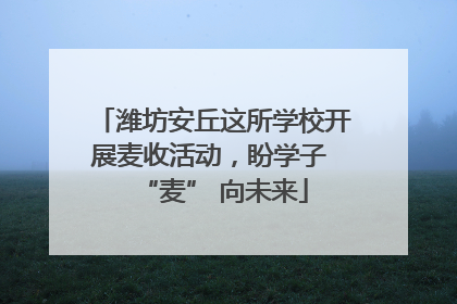 潍坊安丘这所学校开展麦收活动，盼学子 “麦” 向未来