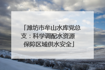 潍坊市牟山水库党总支：科学调配水资源 保障区域供水安全