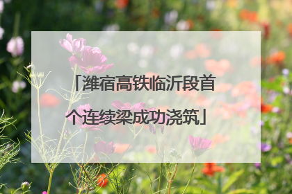 潍宿高铁临沂段首个连续梁成功浇筑