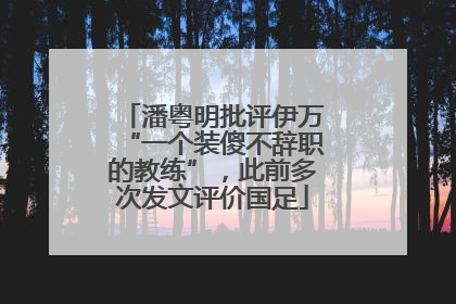 潘粤明批评伊万“一个装傻不辞职的教练”，此前多次发文评价国足