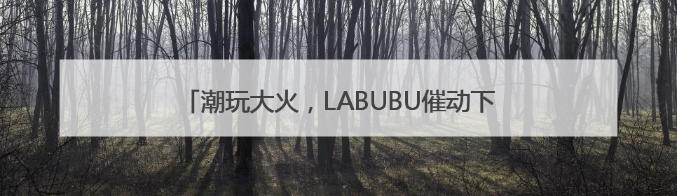 潮玩大火，LABUBU催动下泡泡玛特、布鲁可大涨该咋看？