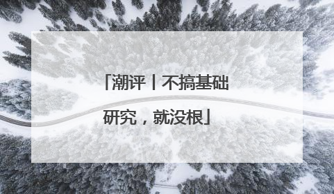 潮评丨不搞基础研究，就没根