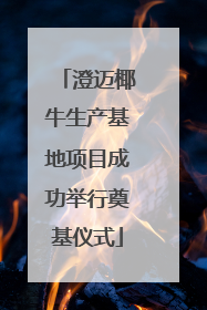 澄迈椰牛生产基地项目成功举行奠基仪式
