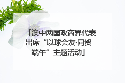 澳中两国政商界代表出席“以球会友·同贺端午”主题活动