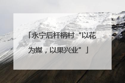 永宁后杆柄村“以花为媒，以果兴业”