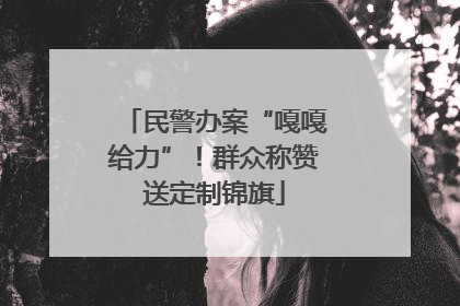 民警办案“嘎嘎给力”！群众称赞送定制锦旗