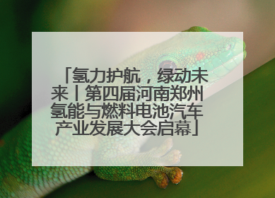 氢力护航，绿动未来丨第四届河南郑州氢能与燃料电池汽车产业发展大会启幕