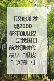 汉遗址发现2000多年前瓜皮，是我国目前发现时代最早“瓜皮”实物→