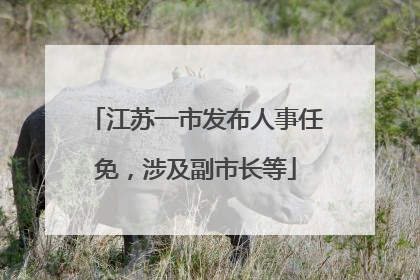 江苏一市发布人事任免，涉及副市长等