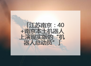 江苏南京：40+南京本土机器人上演现实版的“机器人总动员”
