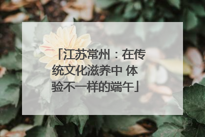 江苏常州：在传统文化滋养中 体验不一样的端午