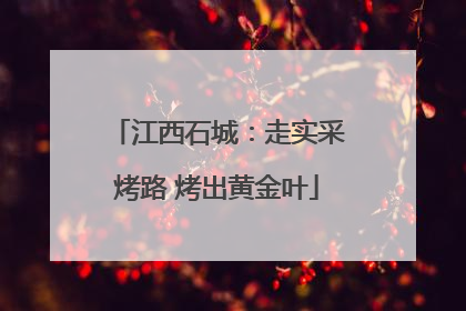 江西石城：走实采烤路 烤出黄金叶