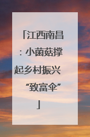 江西南昌：小菌菇撑起乡村振兴“致富伞”