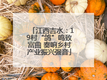 江西吉水：19村“鸽”鸣致富曲 奏响乡村产业振兴强音