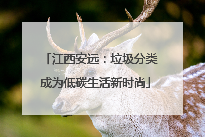 江西安远：垃圾分类成为低碳生活新时尚