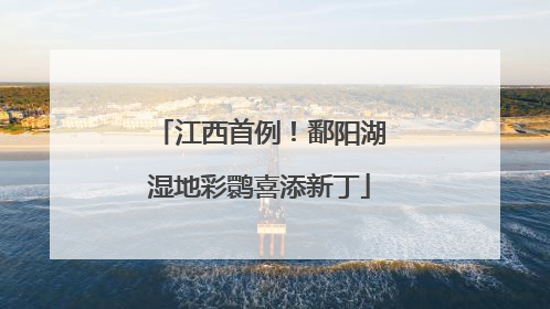 江西首例！鄱阳湖湿地彩鹮喜添新丁