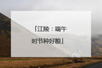 江陵：端午时节种好粮