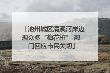 池州城区清溪河岸边现众多“梅花桩” 部门回应市民关切