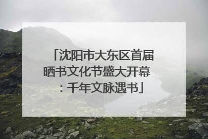沈阳市大东区首届晒书文化节盛大开幕：千年文脉遇书