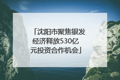 沈阳市聚焦银发经济释放530亿元投资合作机会
