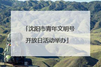 沈阳市青年文明号开放日活动举办