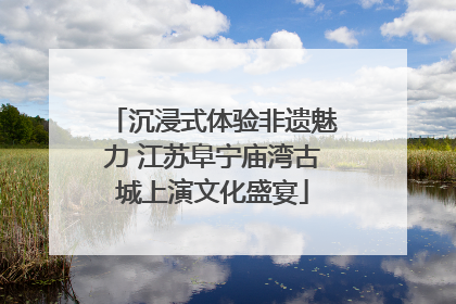 沉浸式体验非遗魅力 江苏阜宁庙湾古城上演文化盛宴