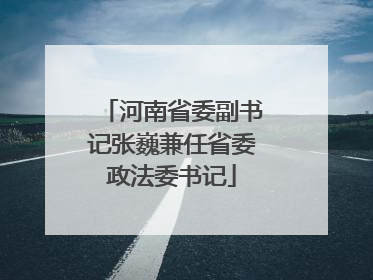 河南省委副书记张巍兼任省委政法委书记