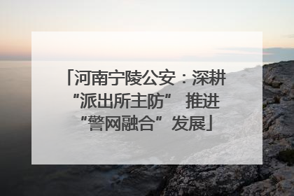河南宁陵公安：深耕“派出所主防” 推进“警网融合”发展