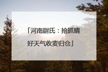 河南尉氏：抢抓晴好天气收麦归仓
