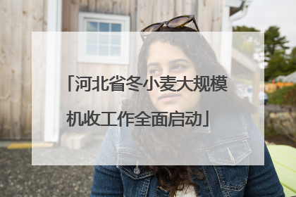 河北省冬小麦大规模机收工作全面启动
