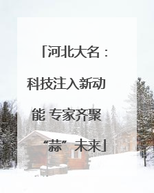 河北大名：科技注入新动能 专家齐聚“蒜”未来