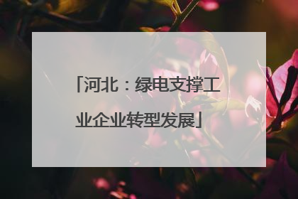 河北：绿电支撑工业企业转型发展