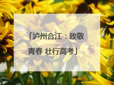 泸州合江：致敬青春 壮行高考