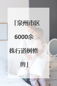 泉州市区6000余株行道树修剪