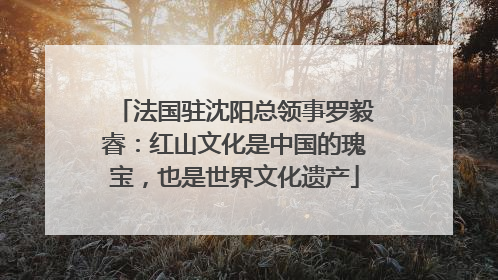 法国驻沈阳总领事罗毅睿：红山文化是中国的瑰宝，也是世界文化遗产