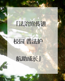 法治宣传进校园 普法护航助成长