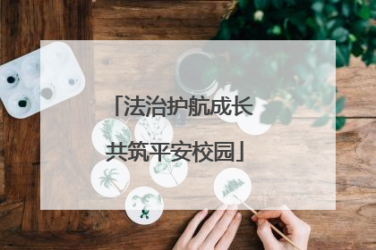 法治护航成长 共筑平安校园