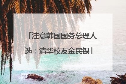 注意韩国国务总理人选：清华校友金民锡