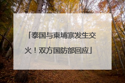 泰国与柬埔寨发生交火！双方国防部回应