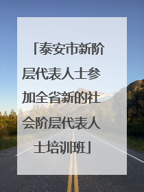 泰安市新阶层代表人士参加全省新的社会阶层代表人士培训班