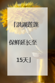 洪湖莲蓬保鲜延长至15天