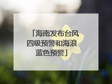 海南发布台风四级预警和海浪蓝色预警