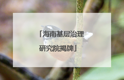 海南基层治理研究院揭牌