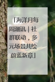 海洋月每周潮讯｜社群联动，多元场景共绘蔚蓝新章