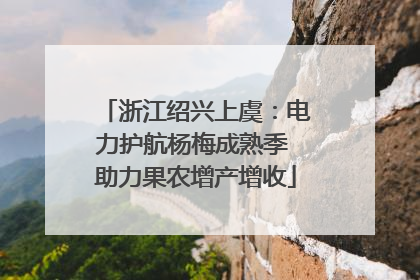 浙江绍兴上虞：电力护航杨梅成熟季 助力果农增产增收