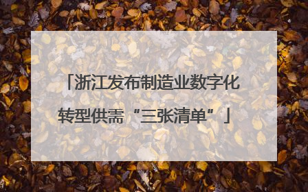 浙江发布制造业数字化转型供需“三张清单”